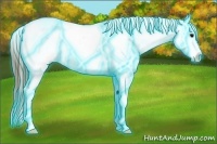 Horse Color:Thunderstruck Black Ice Appaloosa 