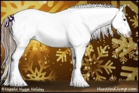 Horse Color:Liver Chestnut Ice Appaloosa 