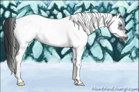 Horse Color:Black Splash Tobiano Frame 