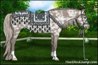 Horse Color:Silver Grullo Ice 