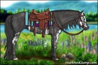 Horse Color:Smoky Black Splash  Brindle