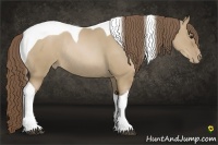 Horse Color:Grullo Pearl Sabino Tobiano Rabicano