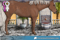 Horse Color:Silver Black Frame