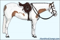 Horse Color:Silver Brown Splash Tobiano