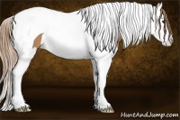 Horse Color:Chestnut Splash Tobiano 