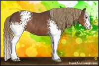 Horse Color:White Spotted Liver Chestnut Rabicano 