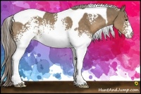 Horse Color:White Spotted Chocolate Palomino Tobiano Rabicano