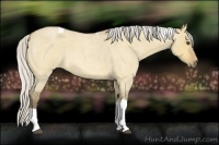 Horse Color:Silver Buckskin Roan Dun Tobiano 