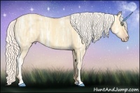 Horse Color:Silver Amber Cream Champagne Ice Dun Rabicano