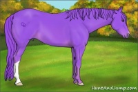 Horse Color:Watercolor Chestnut 
