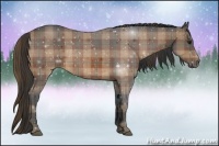 Horse Color:Plaid Bay Roan