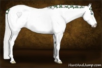 Horse Color:Cremello Sabino  Brindle