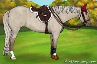 Horse Color:Silver Grullo Roan  Brindle