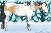 Horse Color:White Spotted Bay Dun Tobiano 
