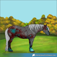 Horse Color:ERROR: UNKNOWN ANOMALY