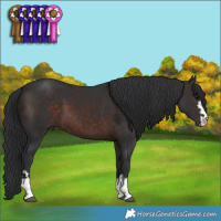 Horse Color:Brown 