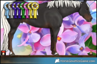 Horse Color:Liver Chestnut Mushroom 