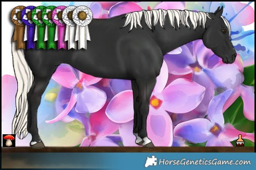 Horse Color:Liver Chestnut Mushroom 