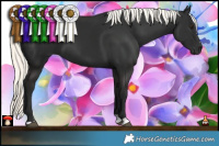Horse Color:Liver Chestnut Mushroom 