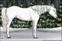 Horse Color:Silver Bay Snowcap 