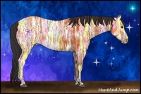 Horse Color:Bay Ice 