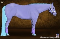 Horse Color:Watercolor Bay 