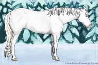 Horse Color:Perlino Dun Sabino Tobiano Blanket 