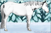 Horse Color:Black Splash Tobiano 