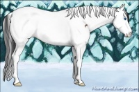 Horse Color:Bay Sabino Splash Tobiano Rabicano