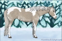 Horse Color:Silver Smoky Grullo Ice Sabino Splash Tobiano 