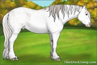 Horse Color:Silver Bay Ice Sabino Splash