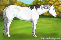 Horse Color:Smoky Black Sabino Splash