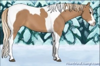 Horse Color:Chestnut Sabino Splash Tobiano