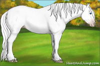 Horse Color:Gray Silver Amber Champagne Splash Tobiano