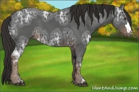 Horse Color:Liver Chestnut Ice 