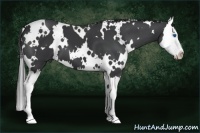 Horse Color:White Spotted Black Splash