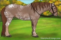 Horse Color:Chestnut Ice 