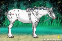 Horse Color:White Spotted Black Frame Near Leopard 