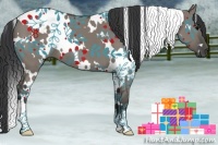 Horse Color:White Spotted Grullo