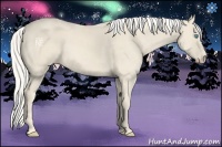 Horse Color:Cremello