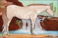 Horse Color:Buckskin Pearl Sabino Brindle