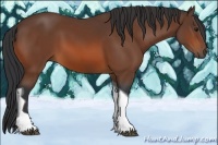 Horse Color:Bay Tobiano Rabicano