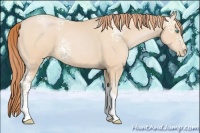 Horse Color:White Spotted Buckskin Pearl Tobiano 
