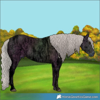 Horse Color:Silver Black Ice Mushroom 