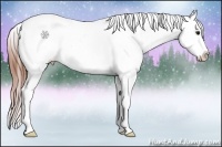 Horse Color:Bay Roan Tobiano Appaloosa 