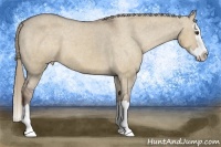 Horse Color:Liver Red Dun Sabino Splash Varnish 