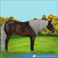 Horse Color:Silver Brown Ice 