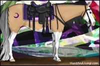 Horse Color:Bay Dun Splash 