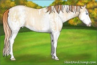 Horse Color:White Spotted Sable Champagne Ice Pearl Splash