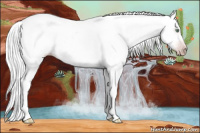 Horse Color:Gray Silver Amber Cream Champagne Roan Dun Splash Tobiano Frame Appaloosa Rabicano 